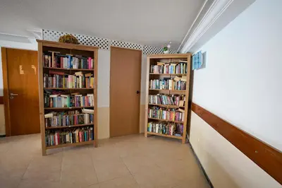Biblioteca en el apartamento