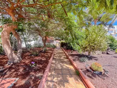 Jardín al aire libre en GuestReady - Tenesor 115 Playa Del Ingles