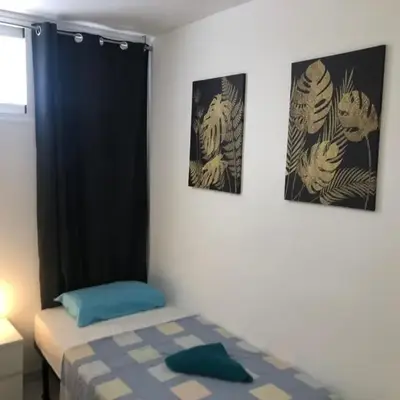 ALOE Suite Laurent-Gael