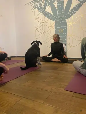 Mascotas con sus dueños en Acoran's Family Ocean view guest house in North Gran Canaria with daily yoga included peaceful atmosphere trekking and pet friendly stay