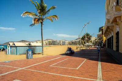 El barrio de los alrededores o un barrio cerca de este apartamento