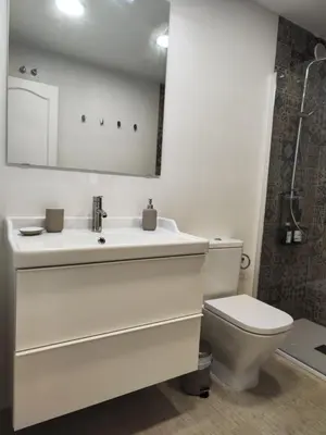 Un baño de El Ingenio