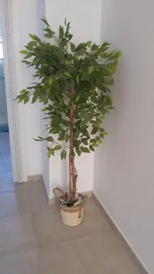 Plano de LA CASA DEL MAR