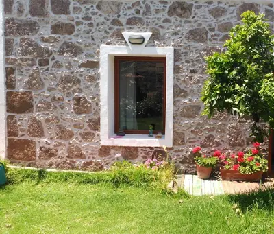 Jardín al aire libre en Villa Canaria piscina jacuzzi jardín