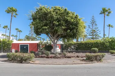 Jardín al aire libre en GuestReady - Los Tunos 6