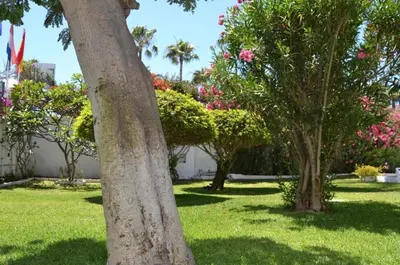 Jardín al aire libre en Ocean blue 405