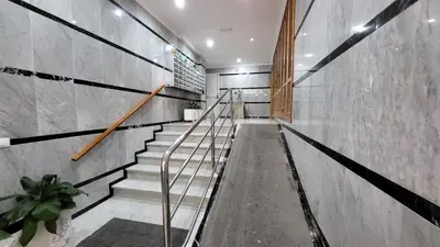 Plano de Yang