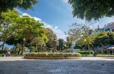 Jardín al aire libre en Mirador Santa Catalina III By CanariasGetaway