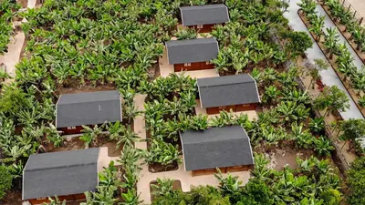 Jardín al aire libre en Cabañas Finca Las Vegas