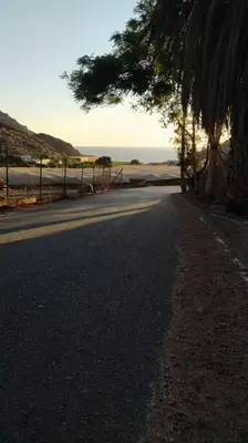 Paisaje cerca de este apartamento
