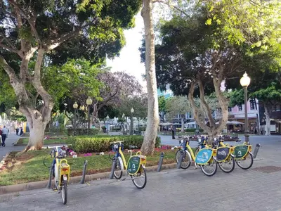 Montar en bicicleta en Apartamento Brisa Marina o alrededores
