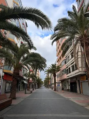 El barrio de los alrededores o un barrio cerca de este apartamento