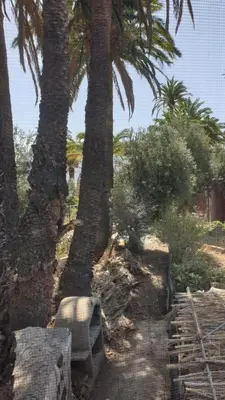 Jardín al aire libre en Casa Ansite