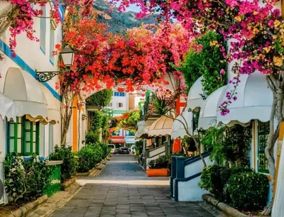El barrio de los alrededores o un barrio cerca de este hostal o pensión