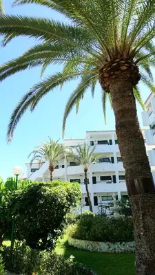 Jardín al aire libre en LaLuz451