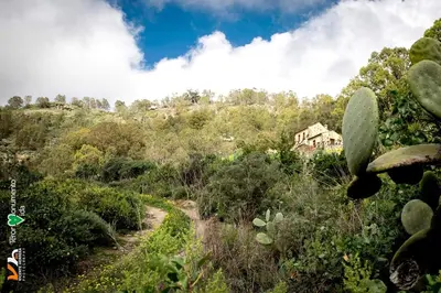 Paisaje cerca of this country house