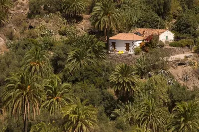 Paisaje cerca de esta casa o chalet