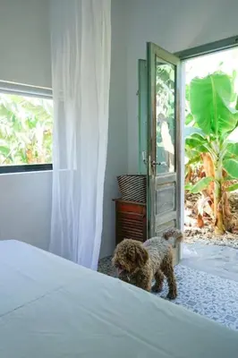 Cama o camas de una habitación en The Tortuga Banana House