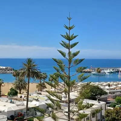 Apartamento con vistas a la playa