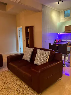 Zona de estar de Basement Apartment