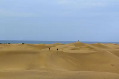 Paisaje cerca de este apartamento