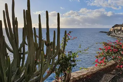 Paisaje cerca de este apartamento