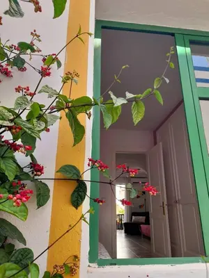 Plano de Morning Sun Apartment 229