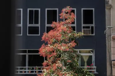 Edificio en el que se encuentra la casa o chalet