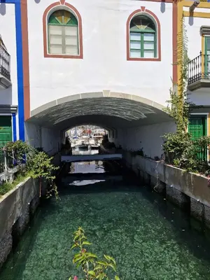 Jardín al aire libre en 