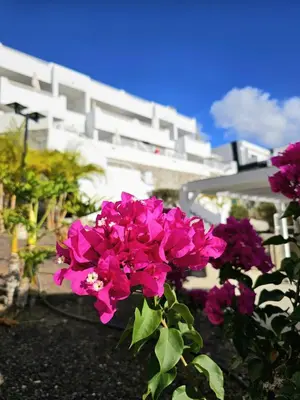 Jardín al aire libre en Vista Alegre
