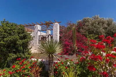 Jardín al aire libre en Finca El Lomo