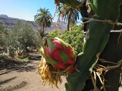 Paisaje cerca of this country house
