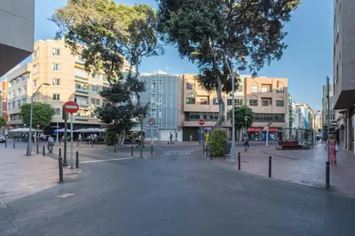 El barrio de los alrededores o un barrio cerca de este apartamento