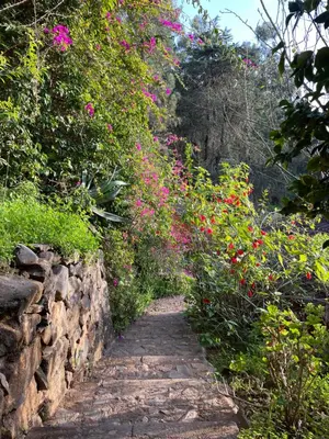 Jardín al aire libre en Finca El Lance Zumacal