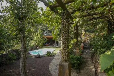 Jardín al aire libre en Los Matos, Canarian house in Valleseco