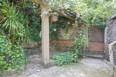 Jardín al aire libre en Los Matos, Canarian house in Valleseco