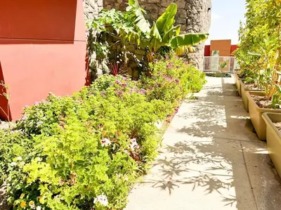Jardín al aire libre en Green Villa The Canarian Garden by CanaryScape