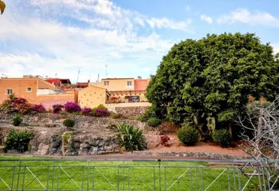 Jardín al aire libre en una casa canaria moderna