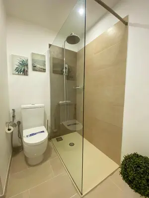Un baño de Alfredo L Jones Atico