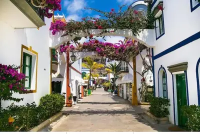 El barrio de los alrededores o un barrio cerca de este apartamento