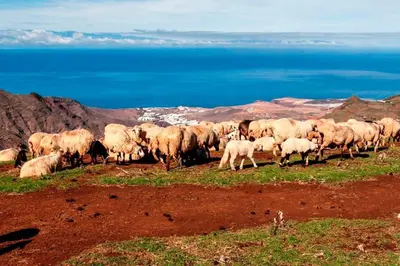 Paisaje cerca de esta villa