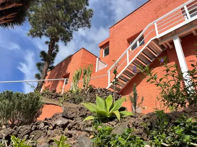 Jardín al aire libre en Casa Drago - Stylish 1BR apartment with Panoramic Views