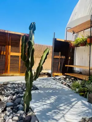 Plano de Casa Caracol - Finca Oaxaca