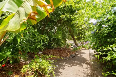 Jardín al aire libre en Tasarte by Villas Rivero