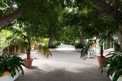 Jardín al aire libre en Cortijo San Ignacio