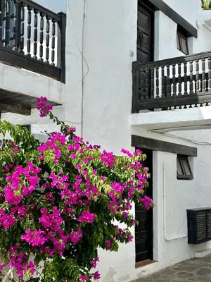 Un balcón o terraza de Los Arpones 15