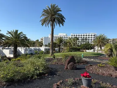Jardín al aire libre en Terraced 2 bedroom beach rental