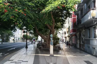 El barrio de los alrededores o un barrio cerca de este apartamento