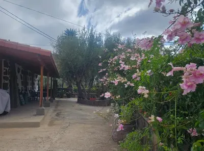 Jardín al aire libre en Casa Rosiana