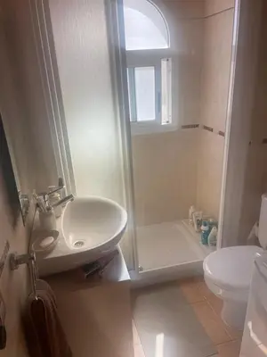 Un baño de Jumbo apartment